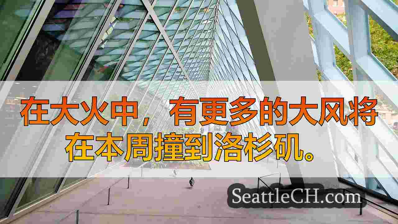 LA FIRES更新：随着死亡人数到达24