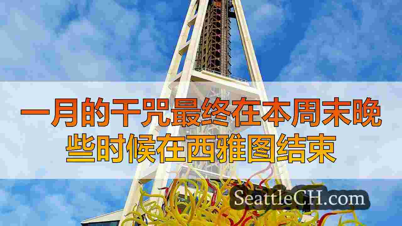 一月的干咒最终在本周末晚些时候在西雅图结束