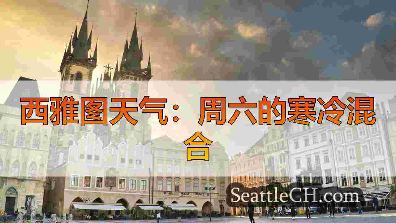 西雅图新闻 SeattleCH