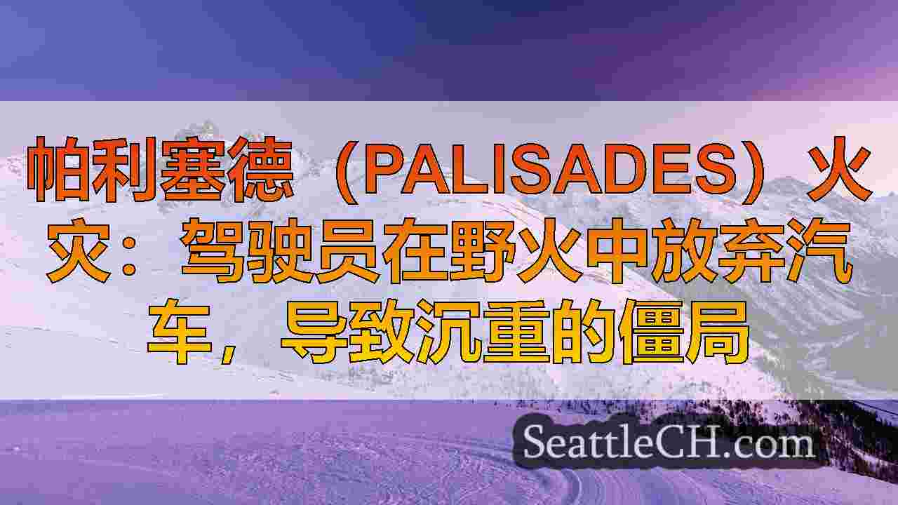 西雅图新闻 SeattleCH