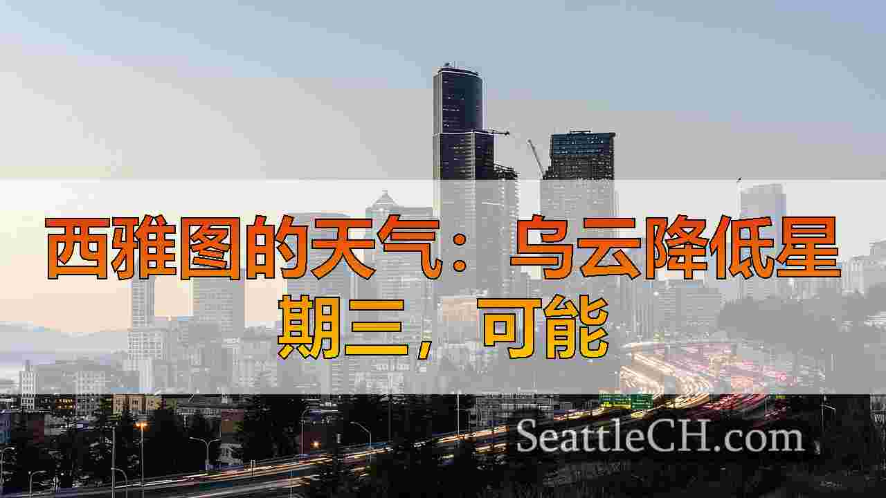1月的阳光令人惊叹，本周在西雅图干燥的天气
