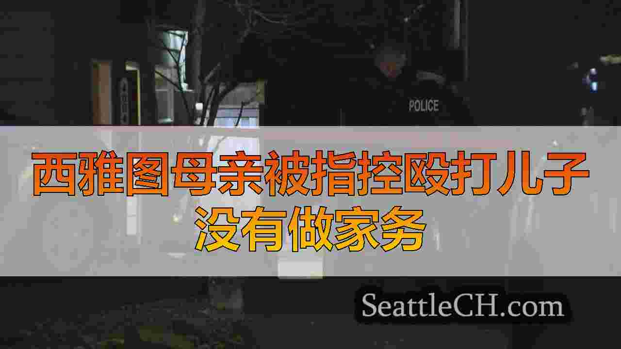西雅图母亲被指控殴打儿子没有做家务