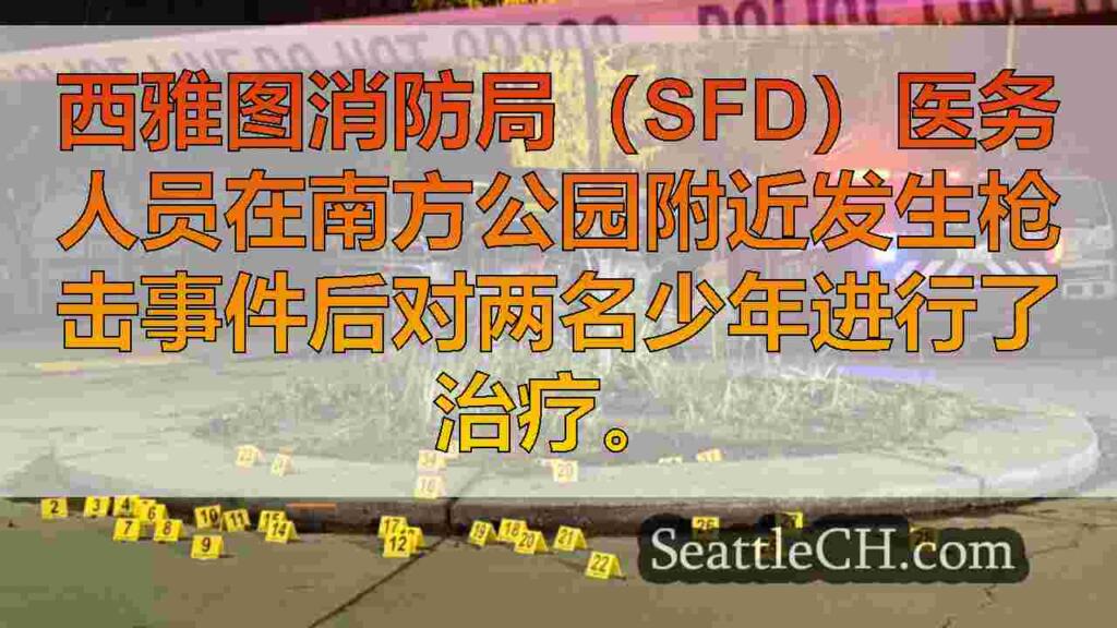 近2打壳壳垃圾场景，在西雅图的南方公园射击了青少年