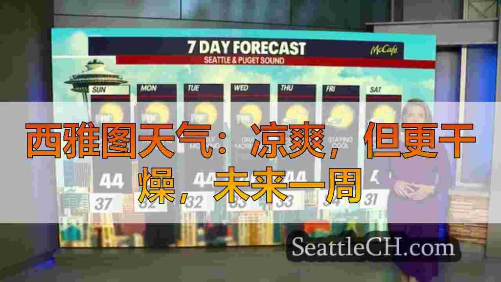 西雅图天气：凉爽，但更干燥，未来一周