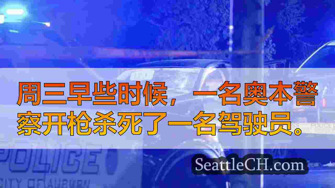 西雅图新闻 SeattleCH