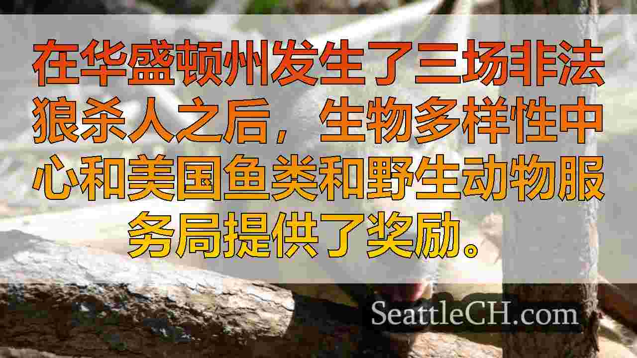 濒临灭绝的狼在华盛顿偷猎；提供的信息$ 20K奖励
