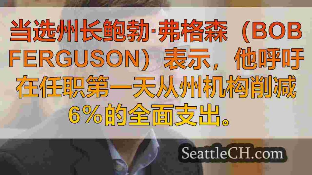 当选总督弗格森订购了40亿美元的州削减，以抵消短缺
