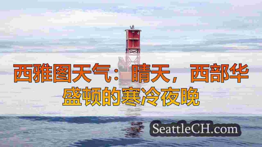 西雅图天气：晴天，西部华盛顿的寒冷夜晚