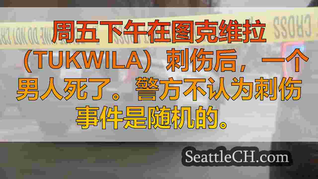 西雅图新闻 SeattleCH