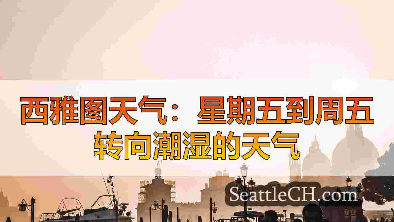 西雅图新闻 SeattleCH