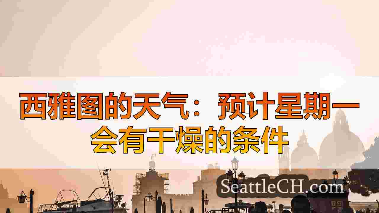 西雅图新闻 SeattleCH