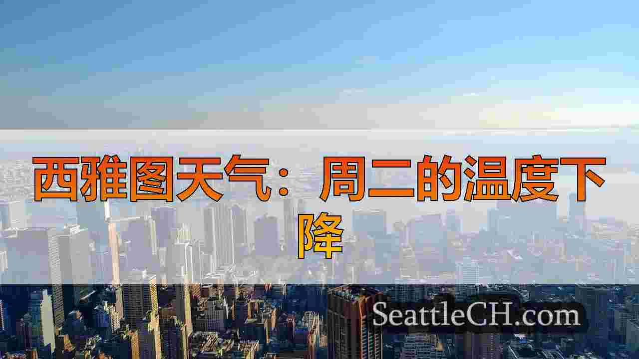 西雅图新闻 SeattleCH
