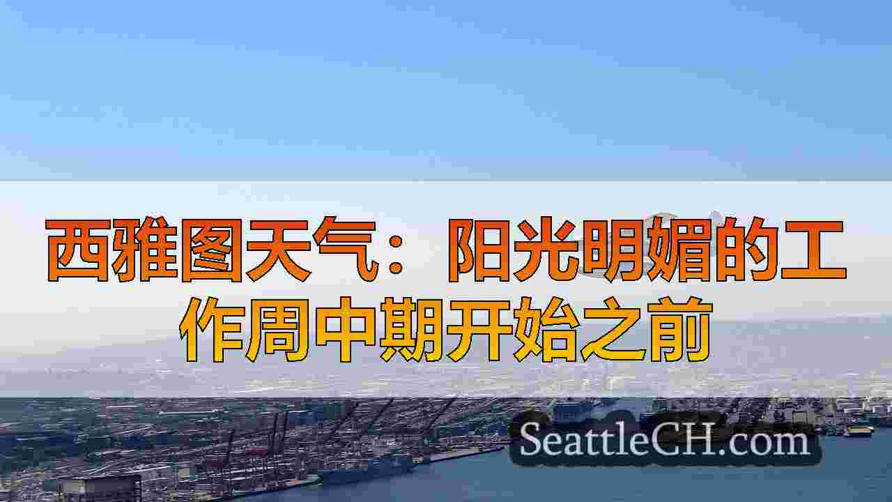 西雅图新闻 SeattleCH
