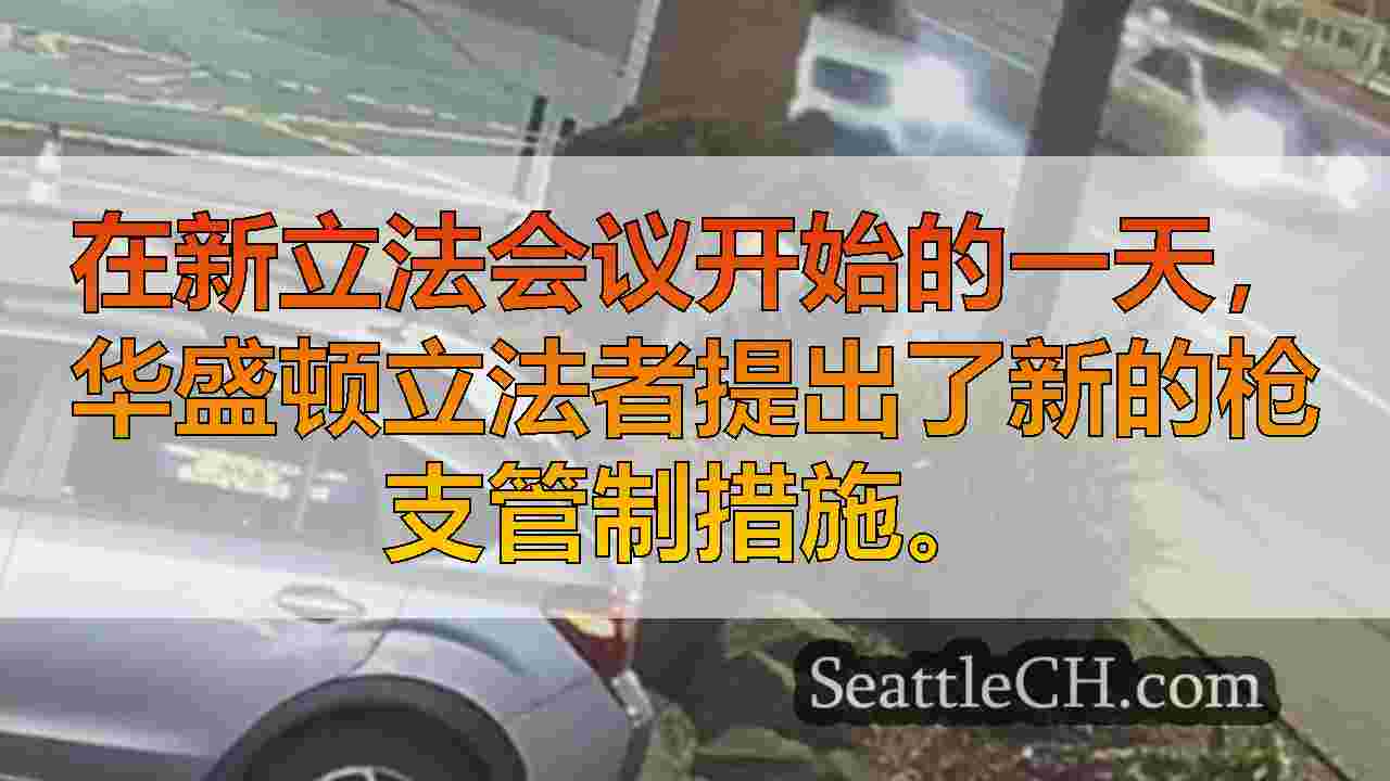 西雅图新闻 SeattleCH