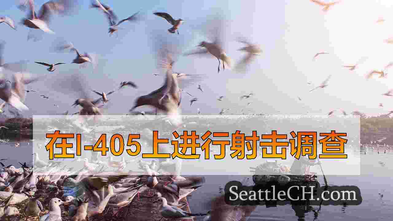 WA士兵寻求有关Corvette的I-405射手的信息