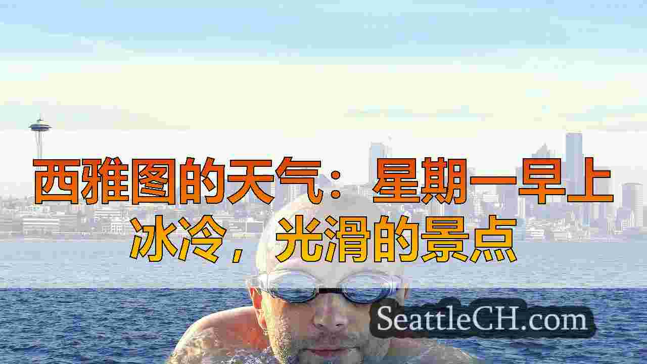 西雅图的寒冷潮湿，潮湿的天气返回