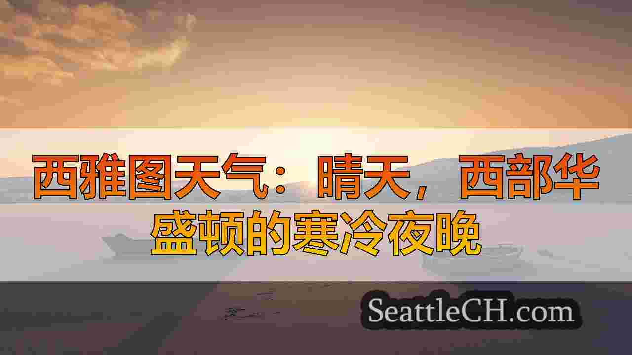 西雅图新闻 SeattleCH