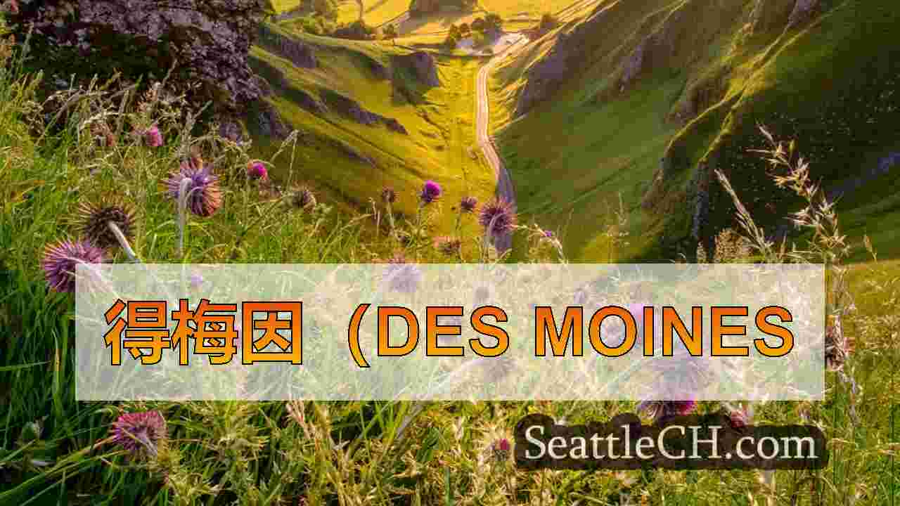 西雅图新闻 SeattleCH