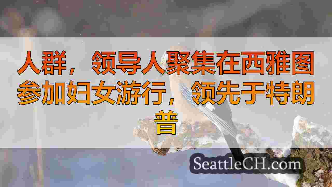 西雅图新闻 SeattleCH