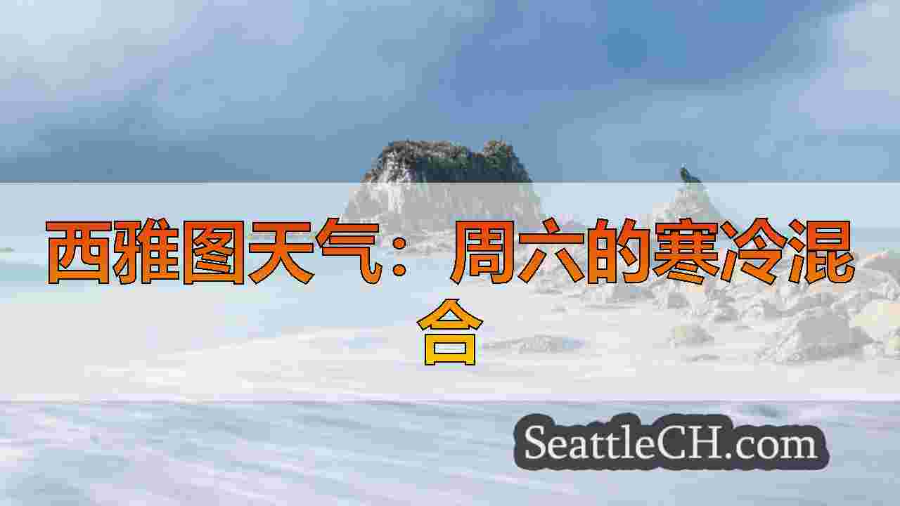 西雅图天气：周六的寒冷混合