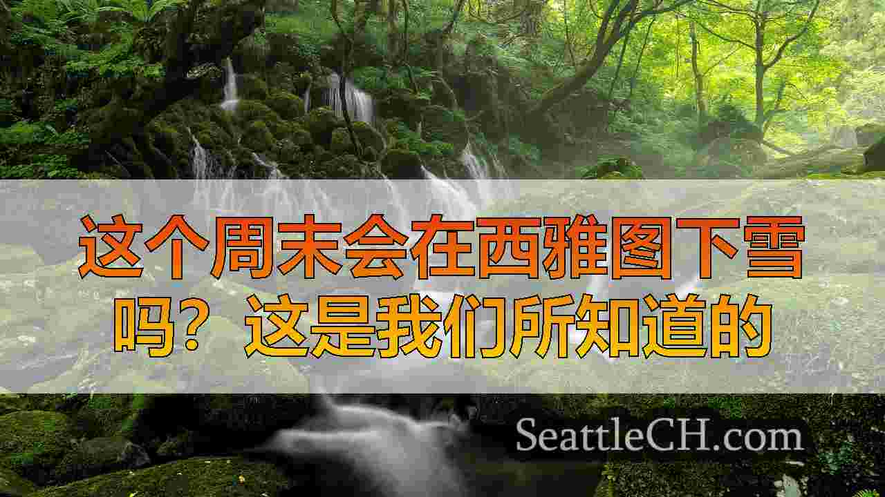 西雅图新闻 SeattleCH