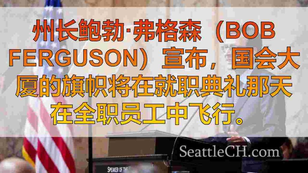 州长弗格森（Ferguson