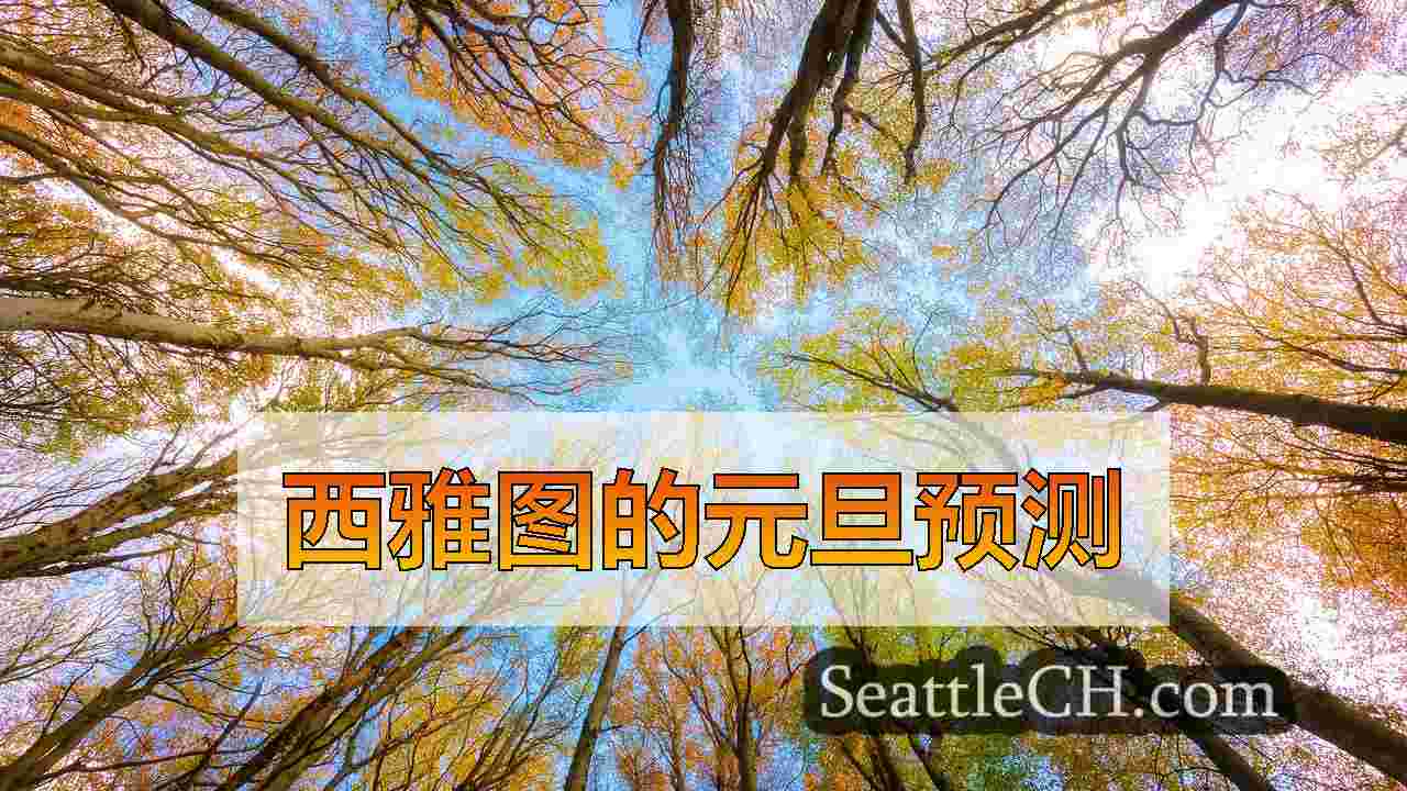 西雅图新闻 SeattleCH