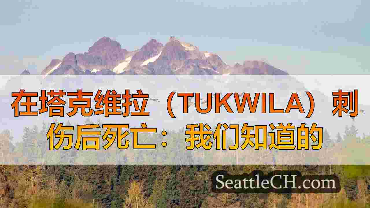 西雅图新闻 SeattleCH