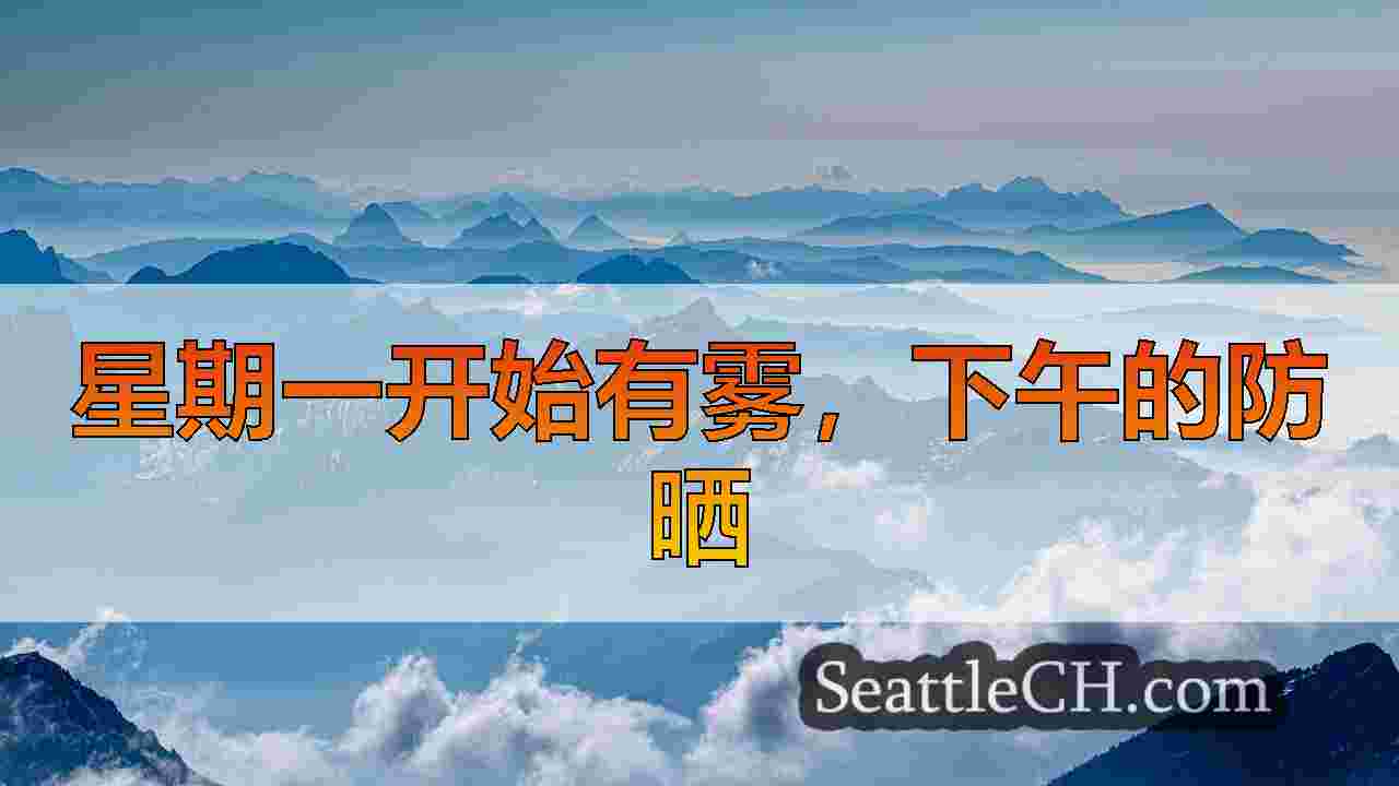 西雅图新闻 SeattleCH