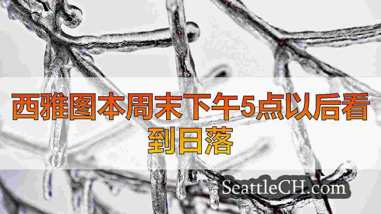 西雅图新闻 SeattleCH