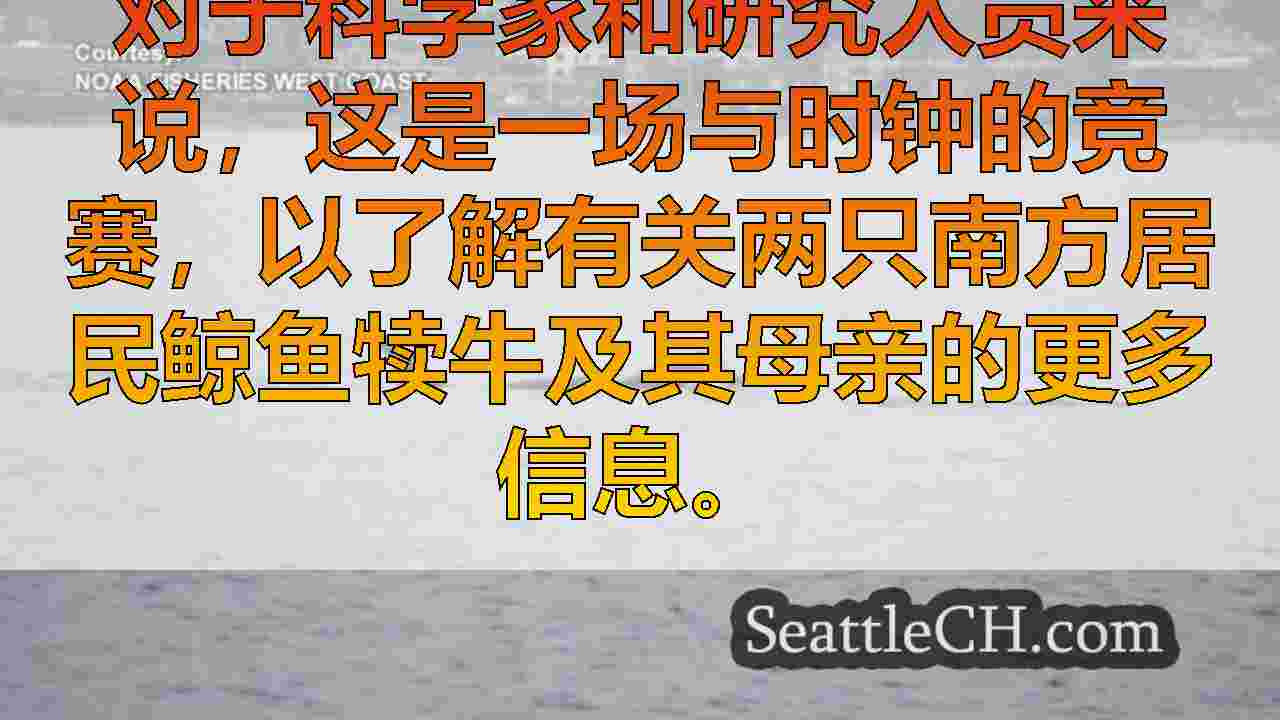 西雅图新闻 SeattleCH