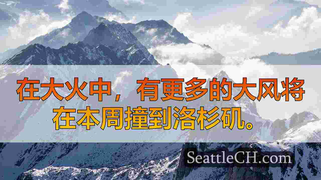 西雅图新闻 SeattleCH