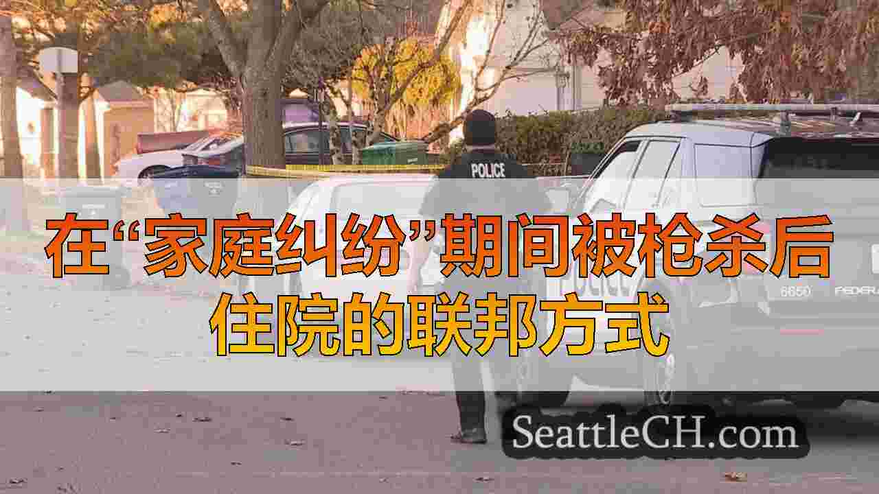 在“家庭纠纷”期间被枪杀后住院的联邦方式