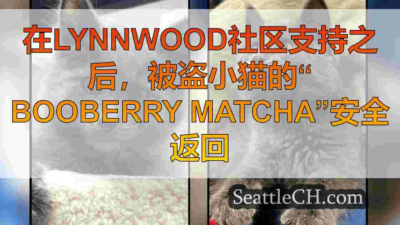 在Lynnwood社区支持之后，被盗小猫的“ Booberry
