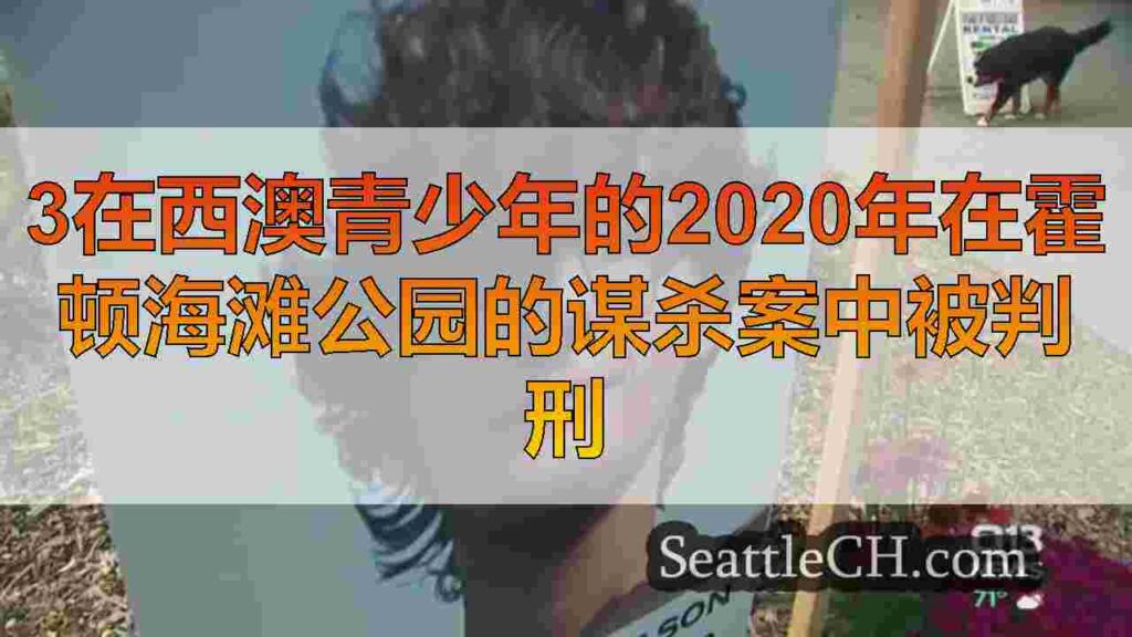 3在西澳青少年的2020年在霍顿海滩公园的谋杀案中被判刑