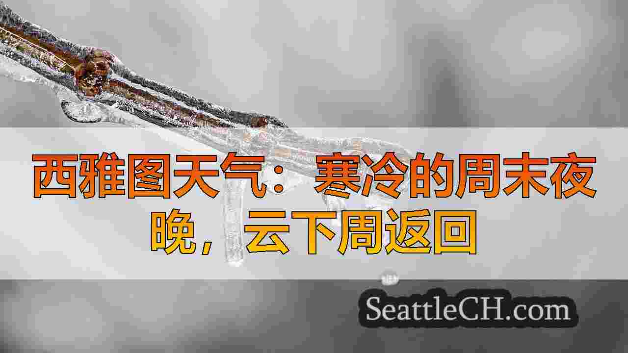 西雅图新闻 SeattleCH