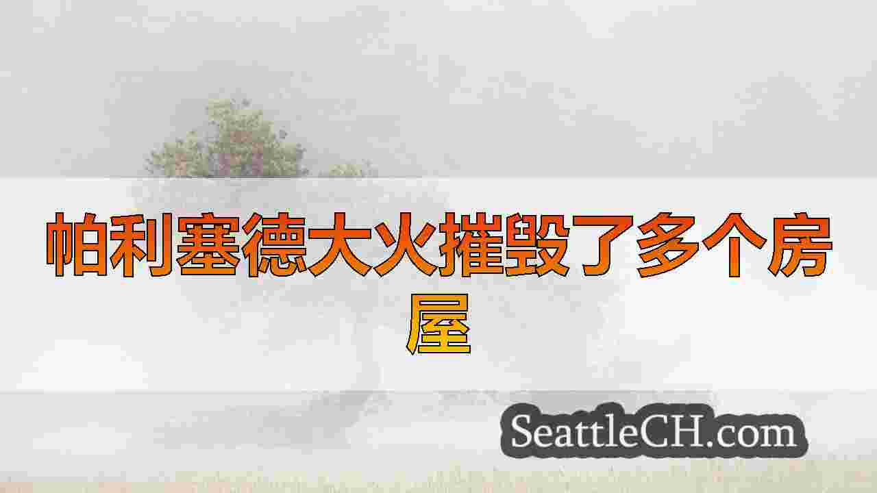 西雅图新闻 SeattleCH
