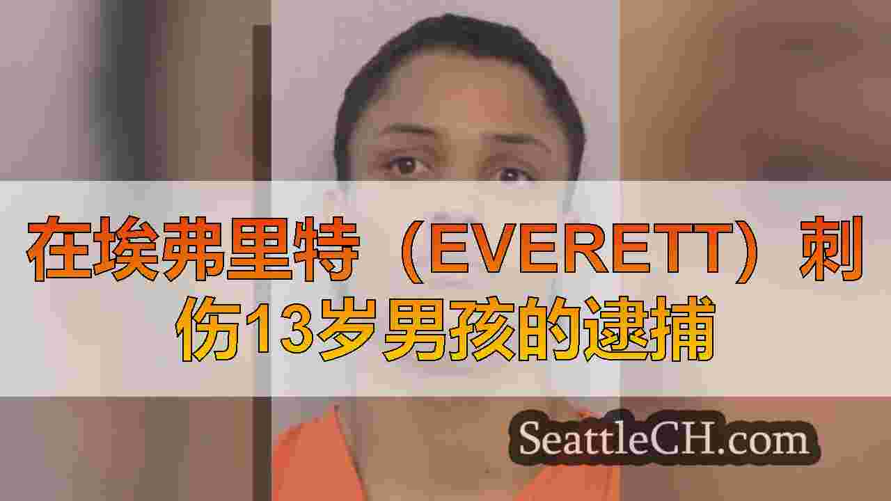 在埃弗里特（Everett）刺伤13岁男孩的逮捕