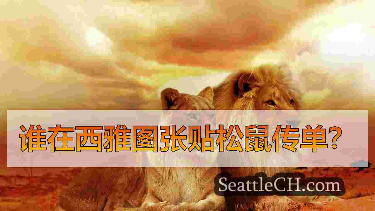 西雅图新闻 SeattleCH