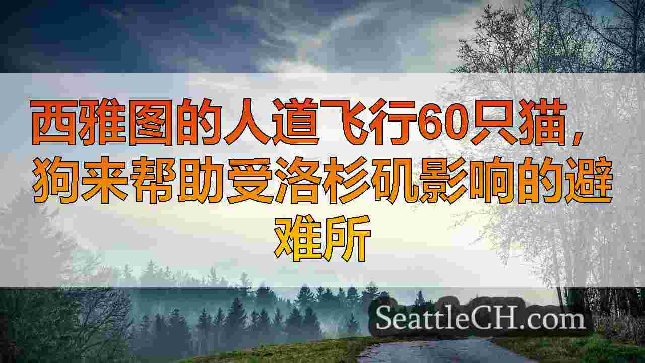 西雅图新闻 SeattleCH