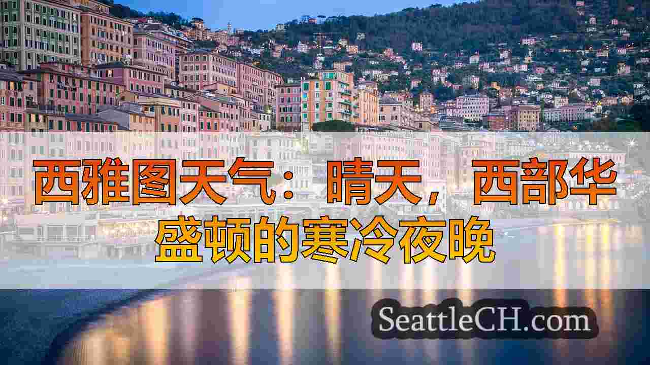 西雅图新闻 SeattleCH