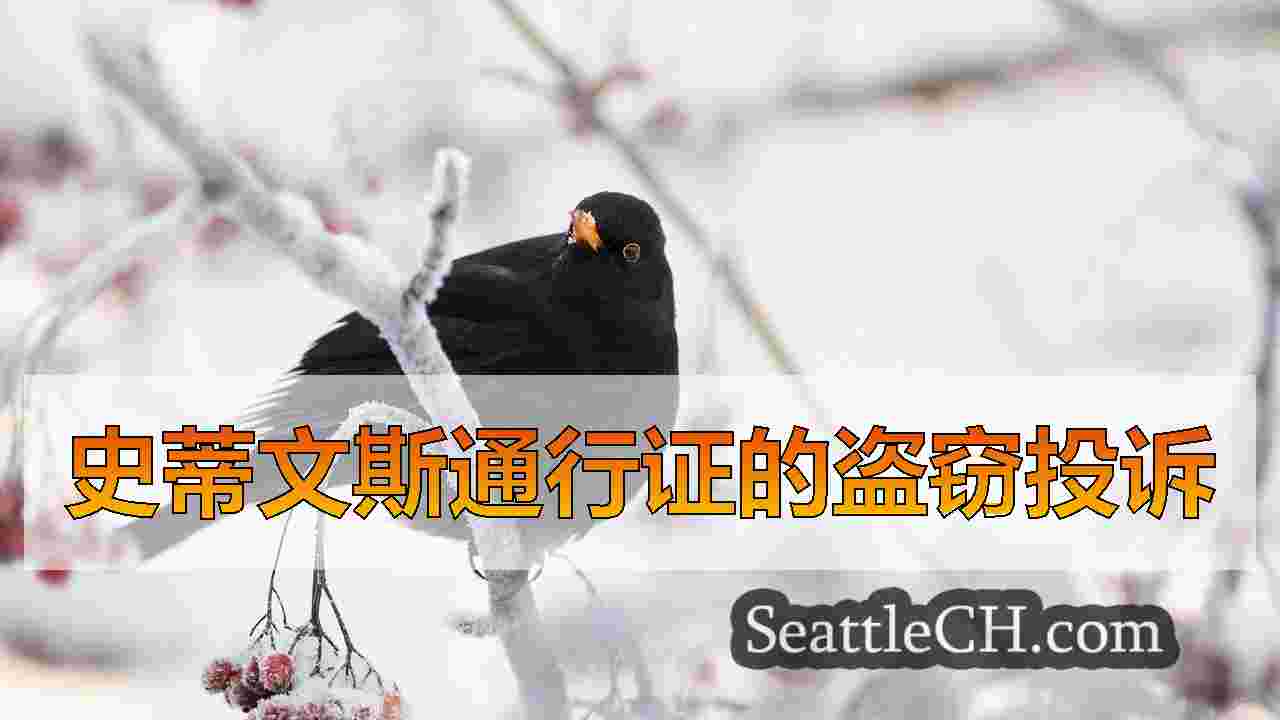 西雅图新闻 SeattleCH