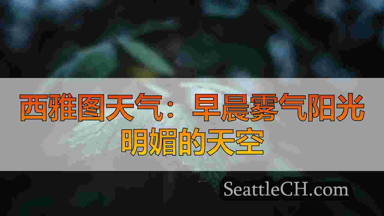 西雅图新闻 SeattleCH
