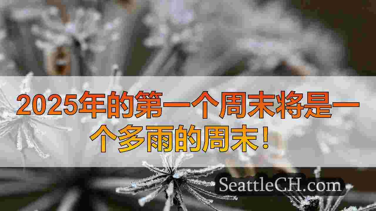 西雅图新闻 SeattleCH