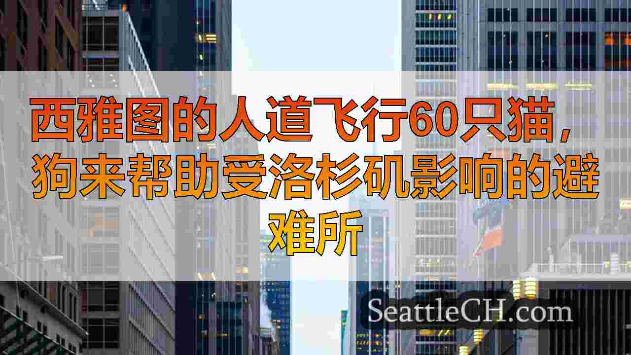 西雅图新闻 SeattleCH