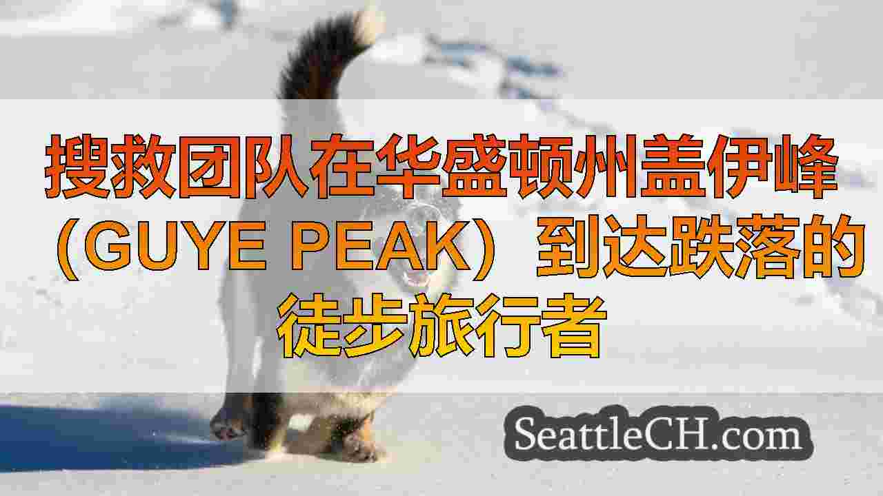 西雅图新闻 SeattleCH