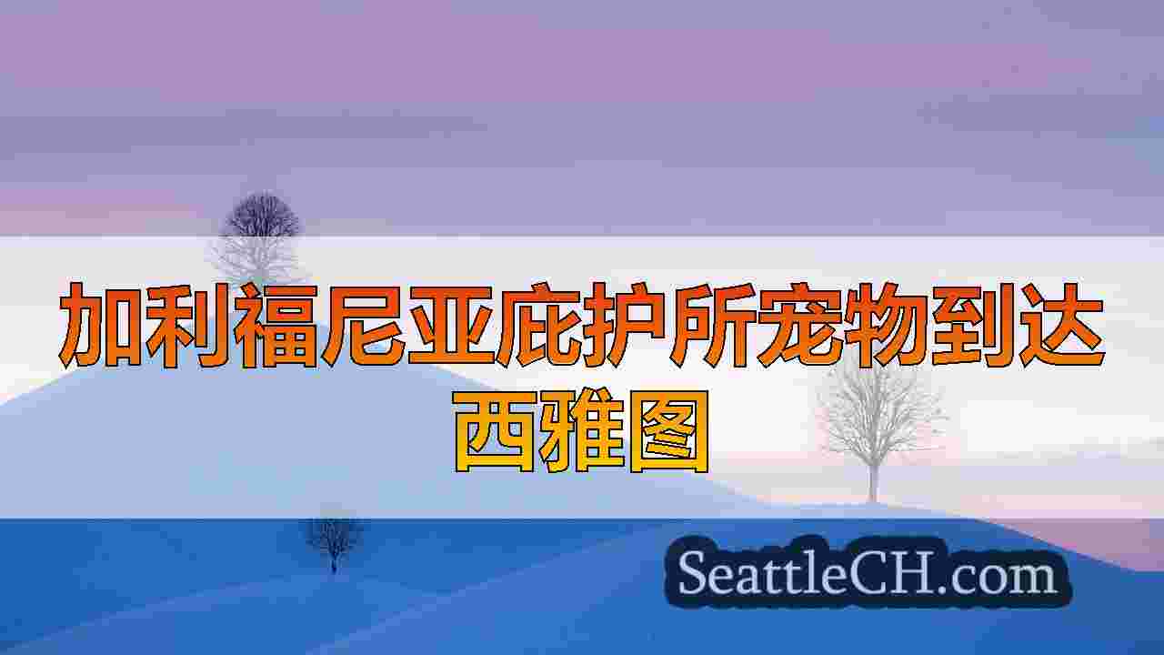 西雅图新闻 SeattleCH