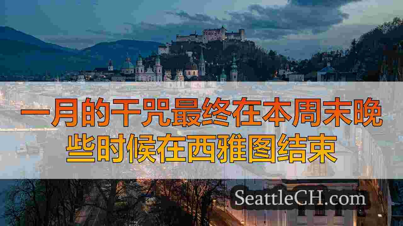 西雅图新闻 SeattleCH