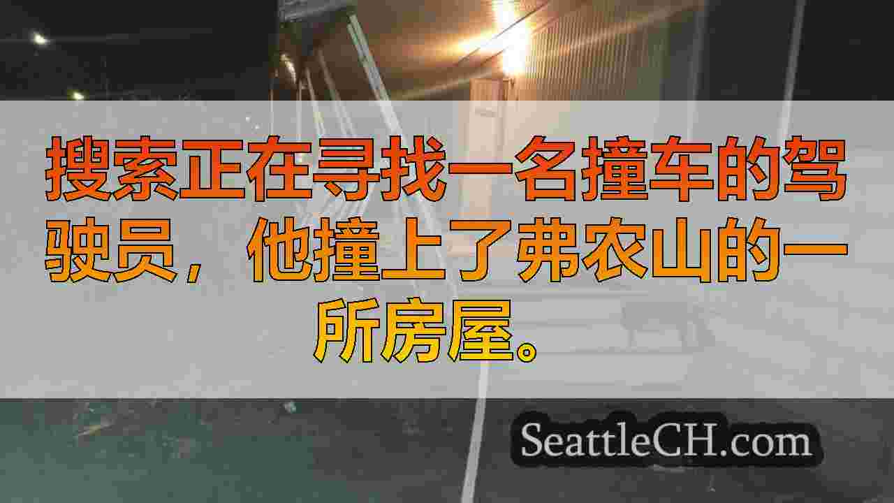 可能受损的撞车司机损坏弗农山的房屋