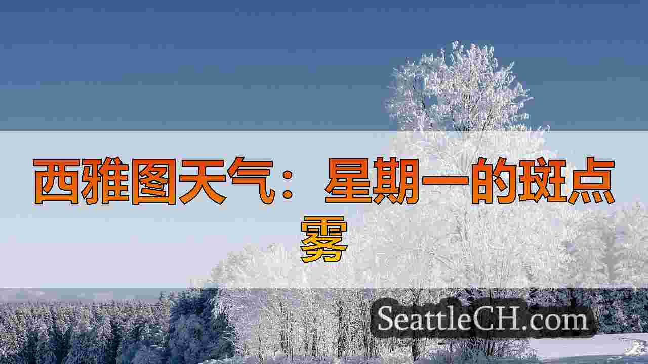 西雅图新闻 SeattleCH